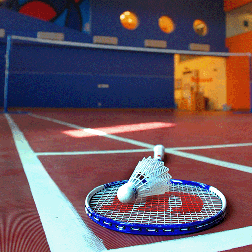 Badminton